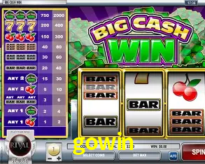 Descubra o Mundo do Cassino Online com gowin