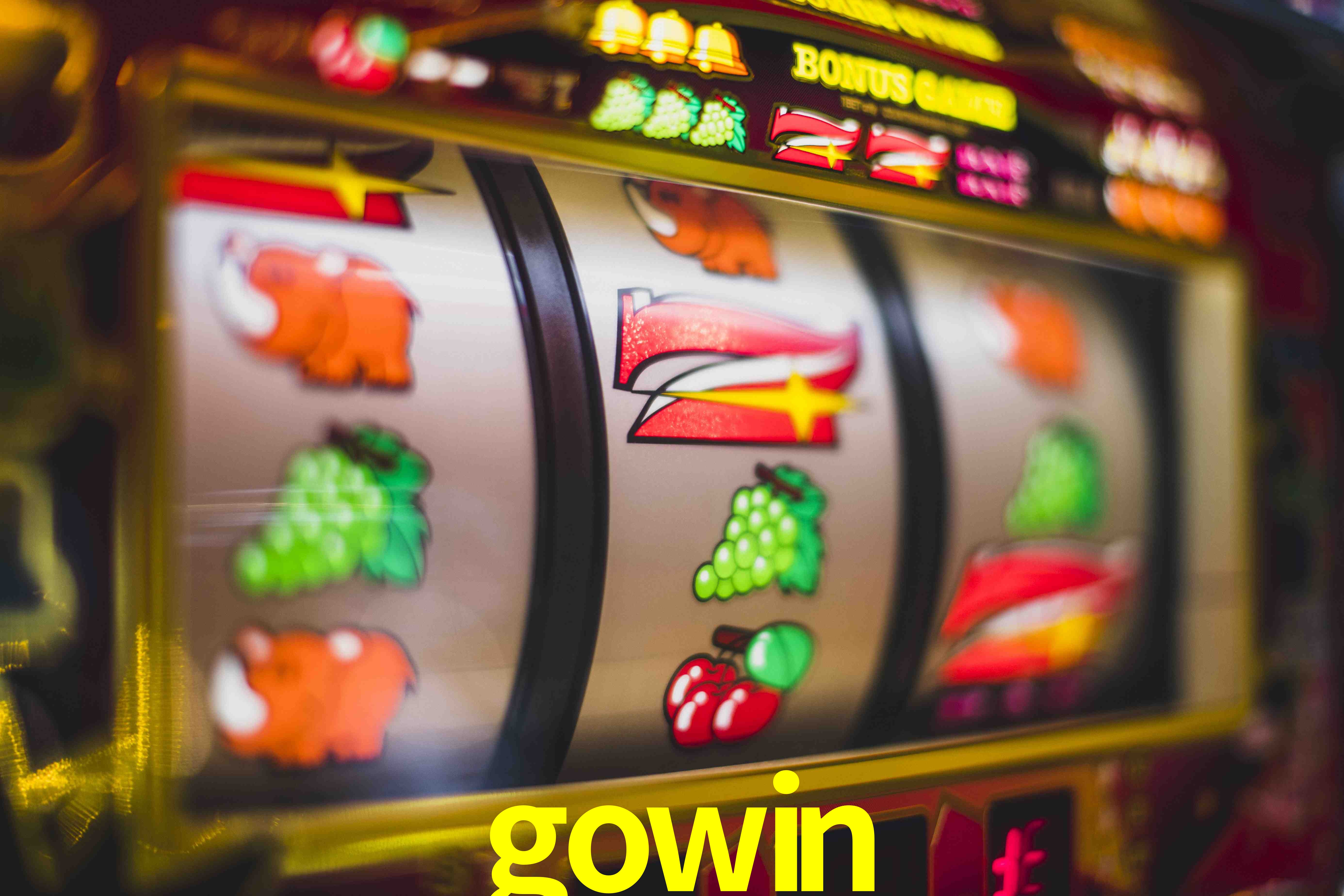 Programa VIP gowin