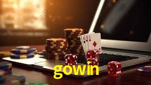 Promoção Relâmpago gowin